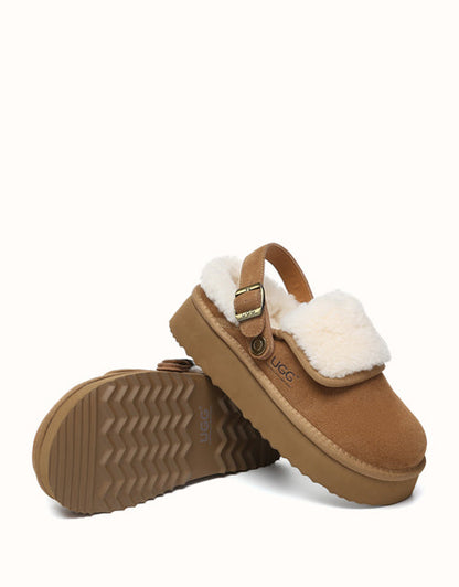 AUSTRALIAN SHEPHERD® Tenley Platform