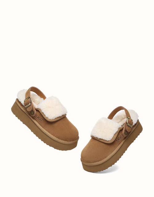 AUSTRALIAN SHEPHERD® Tenley Platform
